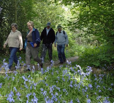 A group of active walkers in nature